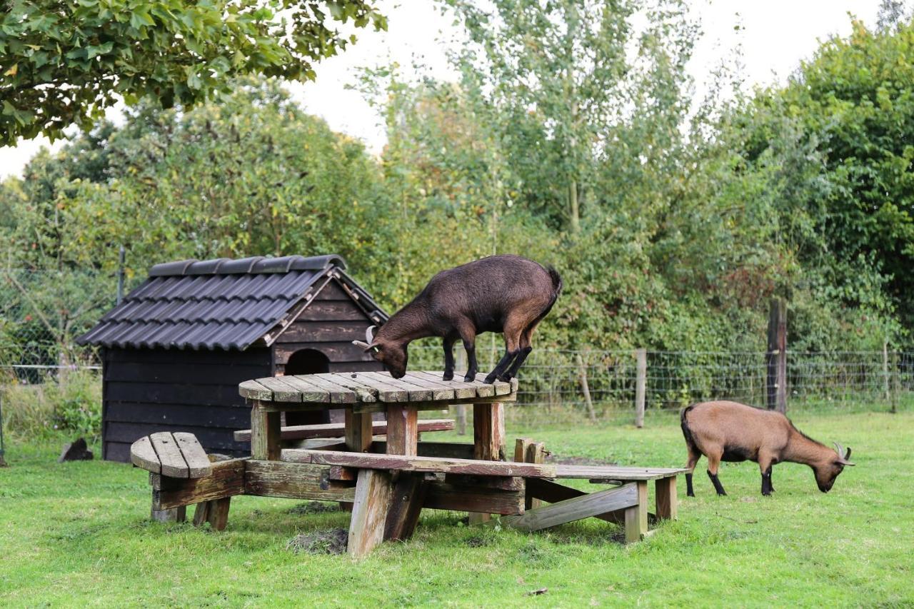 Bed and Breakfast De Rolders Wapenveld Zewnętrze zdjęcie